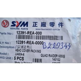 Valve cover gasket sym quadrider 600