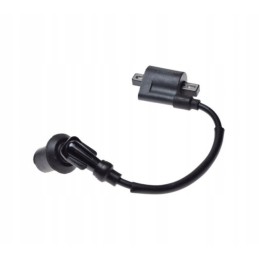 Ignition coil quad shineray atv 150
