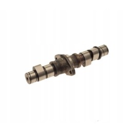 Atv 250 smc baross jialing camshaft