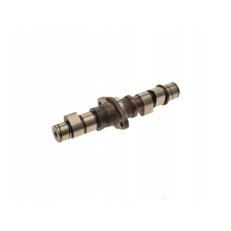 Atv 250 smc baross jialing camshaft