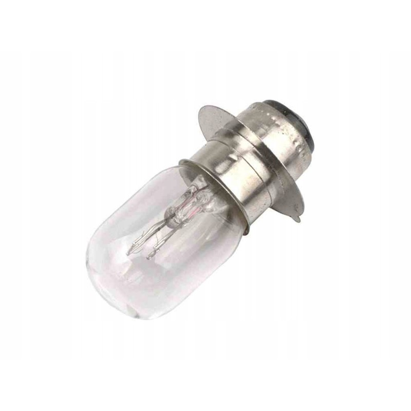 Bulb 12v 25 25w t19 p15d no ece