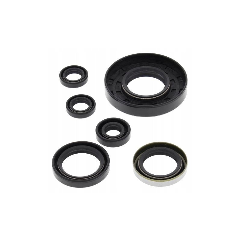 Winderosa vertex complete set of Polaris Xpedi engine seals