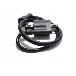 ATV ignition coil