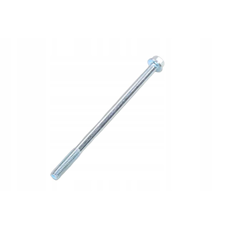 Screw m6 x 100mm gy6 wangye 4t 50