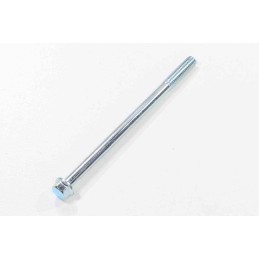 Screw m6 x 100mm gy6 wangye 4t 50