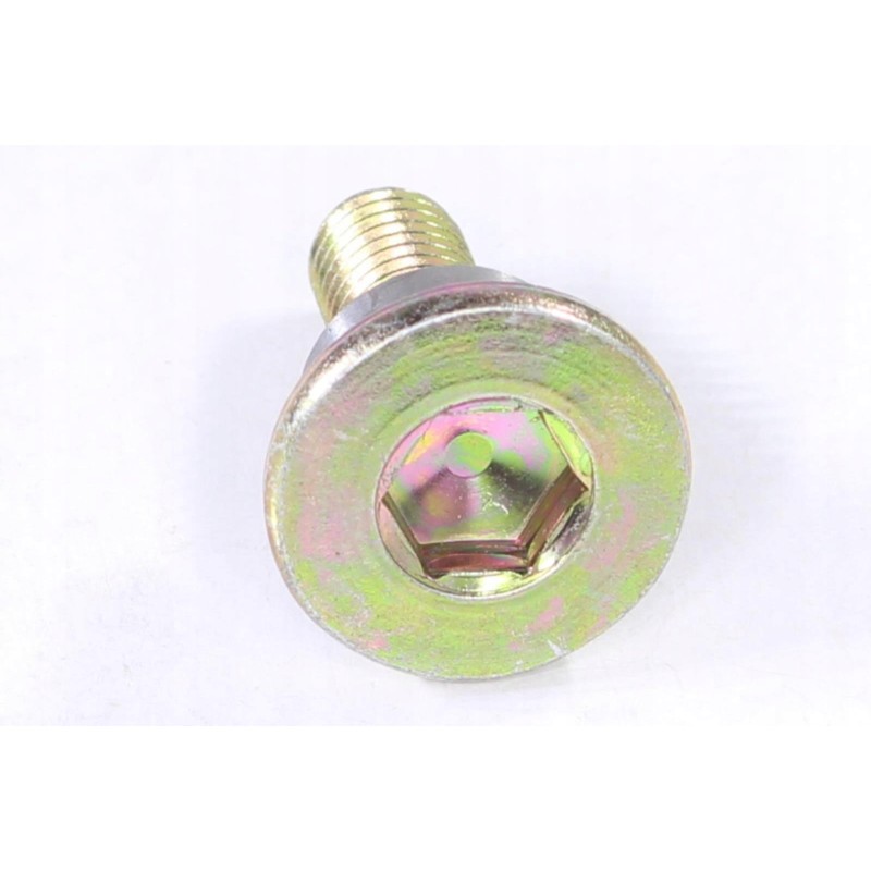 Timing tensioner guide axle ATV Alaska 300 din