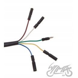 Ignition stator magneto 4t cross quad 50 110 125