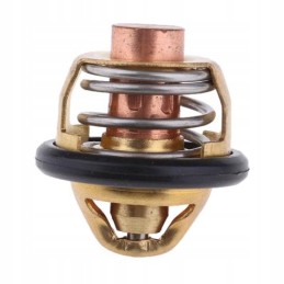 Thermostat cf moto allroad 500