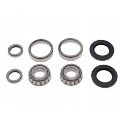 Rear swingarm bearing for ATV Bashan 250s, 5 bearings