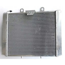 Radiator cf moto 800 1000 allroad