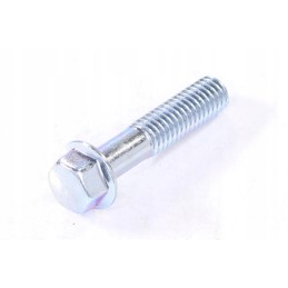 Bolt with flange m6x1x28mm atv alaska 300 dinli