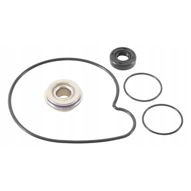 Winderosa vertex water pump repair kit pol
