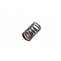 Valve spring gy 6 50 4t 139qmb external benzer baotian barton kinroa