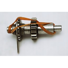 New quad bashan 200 gearbox, reverse gear