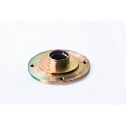 Rear quad bashan brake disc mounting