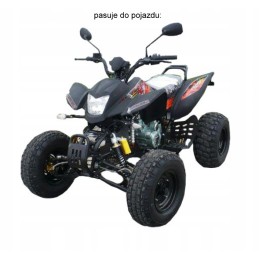 Rear quad bashan brake disc mounting