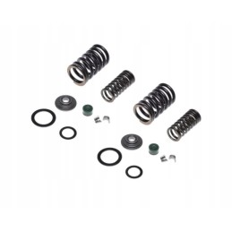 Valve spring atv loncin cross 250 cc 4t