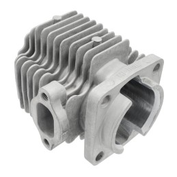 Empty cylinder for pocket bike 2t 50cc