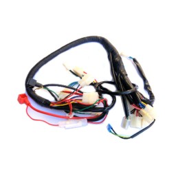 Installation harness cables atv 50 70 110 125 ccm