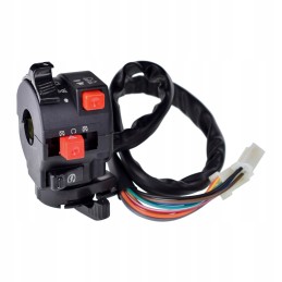 Left switch for ATV 200 250 Quad Bashan