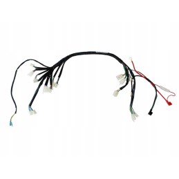 Electrical installation of ATV 125 HB horizontal engine with