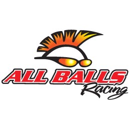 All balls rear wheel bearings yamaha gt80 83 85