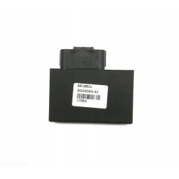 Ecu module controller quad computer bashanbs250as 43