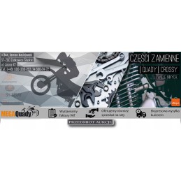 Bashan BS300S 18 timing sprocket