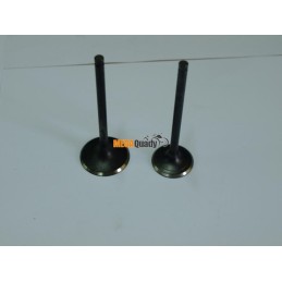Valve intake and exhaust valves quad atv loncin 250