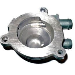 Bashan ATV is covered by the water pump housing