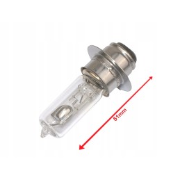 Bulb 12v 25 25w hs p15d251 no ece