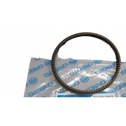 Cf moto allroad 500 piston rings