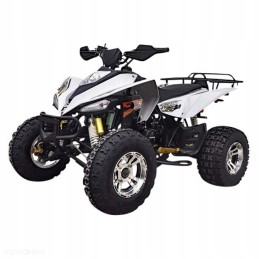 Lower front swing arm pin quad quad bashan bs250as 43