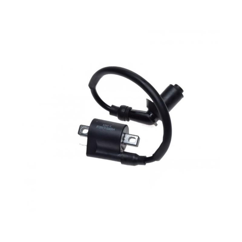 Ignition coil for atv bashan bs250s 5