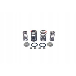 Valve springs set 4t 139qmb set