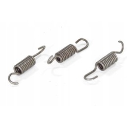 Pocket bri clutch shoe springs