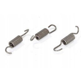 Pocket bri clutch shoe springs