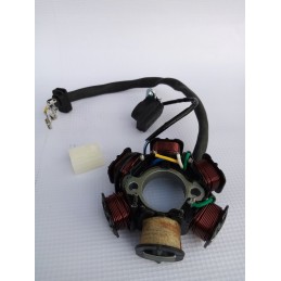 Quad ATV magneto 6 coils 50 125cc