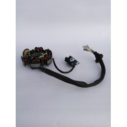Quad ATV magneto 6 coils 50 125cc