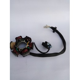 Quad ATV magneto 6 coils 50 125cc