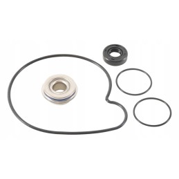 Olaris 900 1000 16 19 water pump repair kit