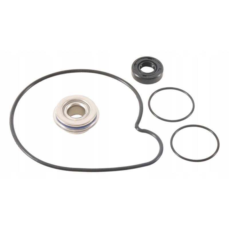 Olaris 900 1000 16 19 water pump repair kit