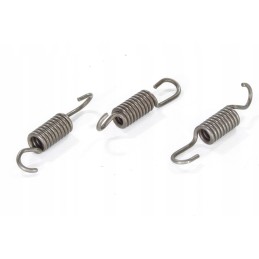 Pocket bri clutch shoe springs