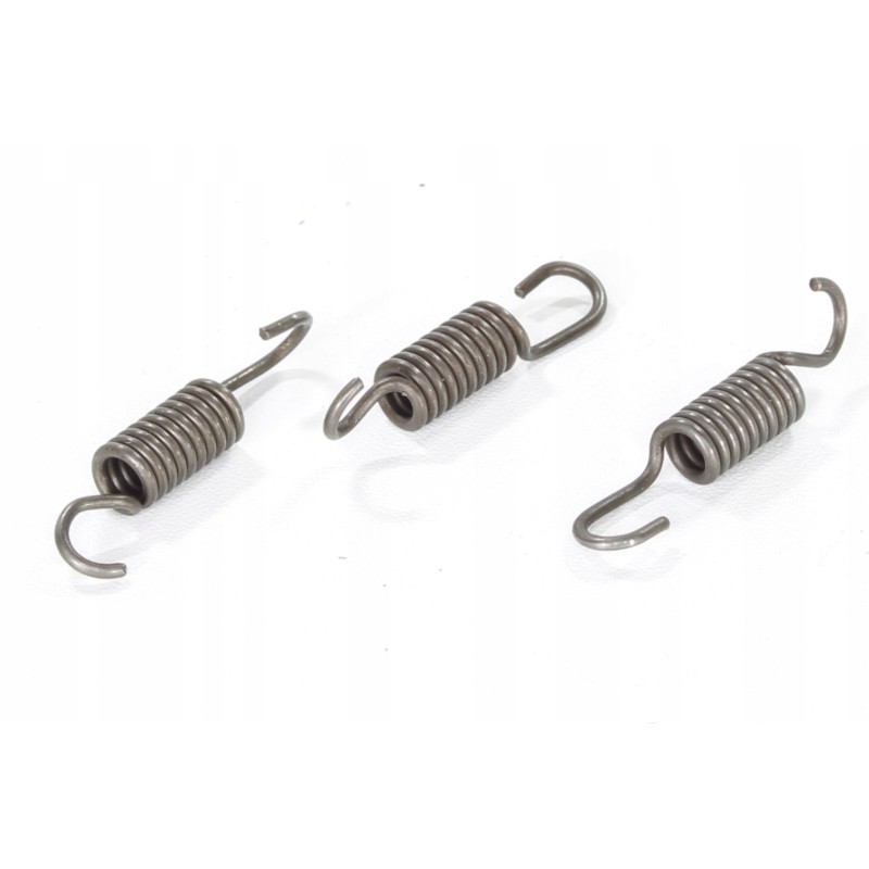 Pocket bri clutch shoe springs