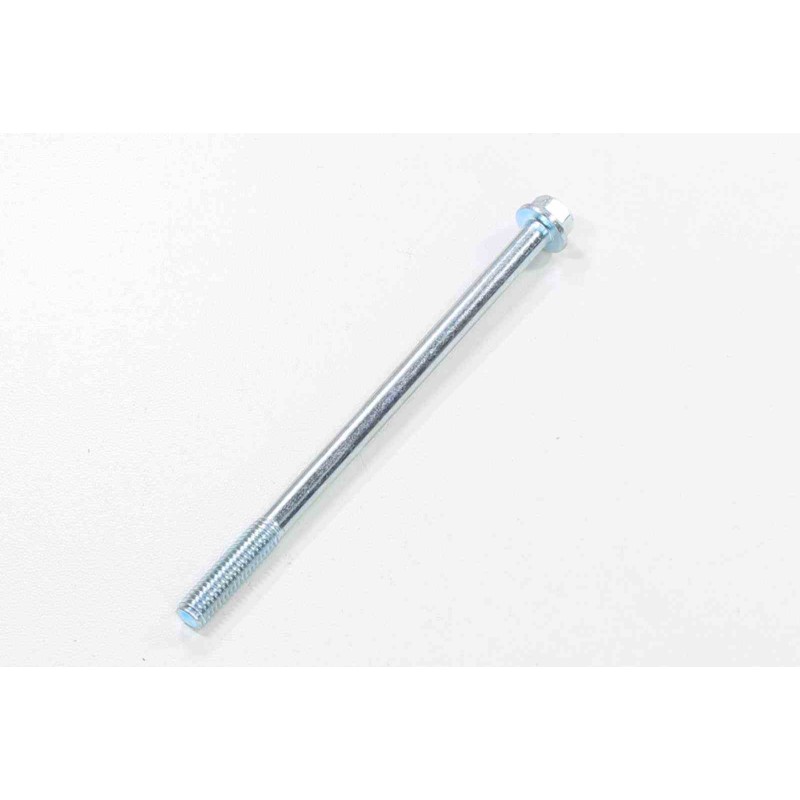 Screw m6 x 100mm gy6 wangye 4t 50