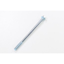 Screw m6 x 100mm gy6 wangye 4t 50