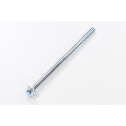 Screw m6 x 100mm gy6 wangye 4t 50