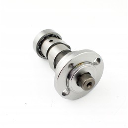 Camshaft cb250cc zs169 fmm