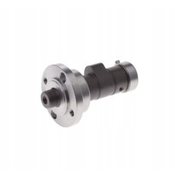 Camshaft for ATV Bashan 250