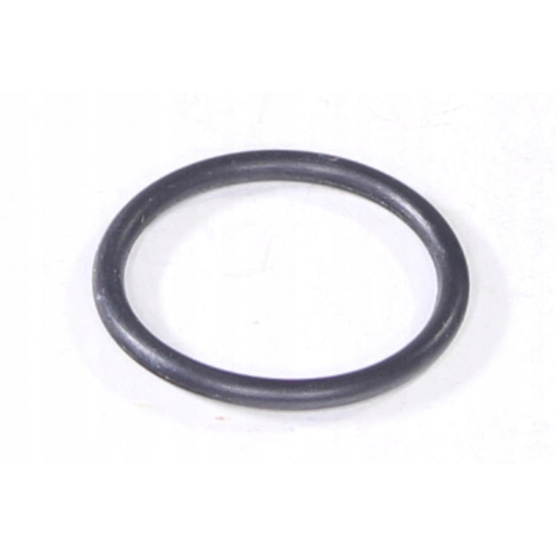 O ring s14 atv alaska 300 din